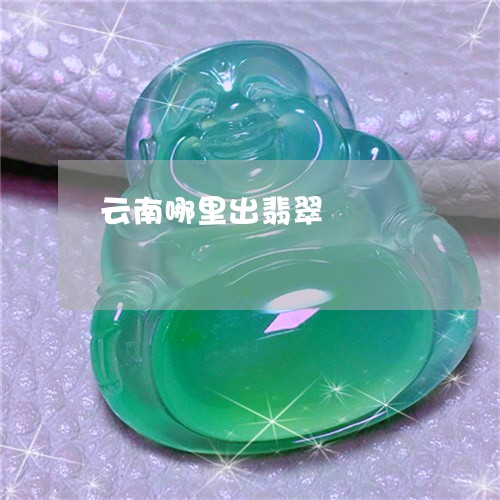 云南哪里出翡翠/2023040533682 云南哪里出翡翠/2023040533682
