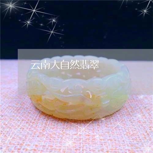 云南大自然翡翠/2023040553824