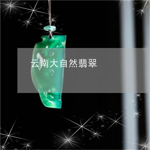 云南大自然翡翠/2023040596359