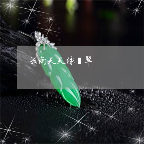 云南天天绿翡翠/2023040538261