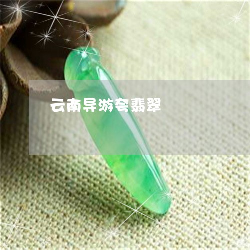 云南导游夸翡翠/2023040570682 云南导游夸翡翠/2023040570682