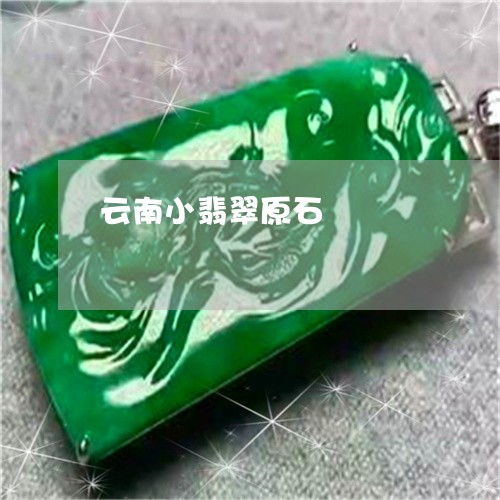 云南小翡翠原石/2023040549161