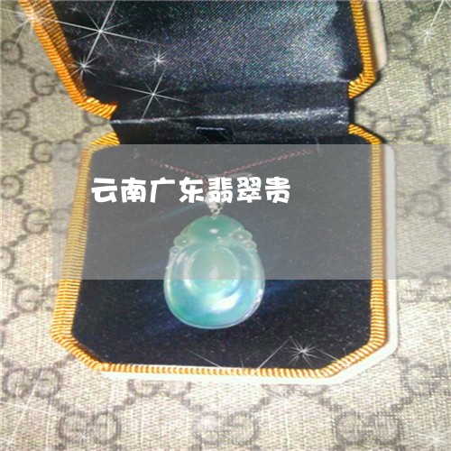 云南广东翡翠贵/2023040518370
