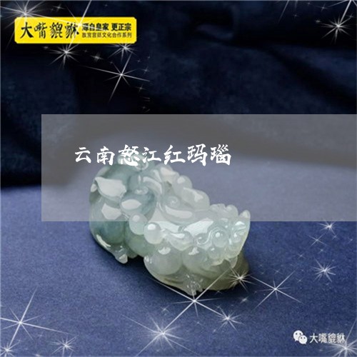 云南怒江红玛瑙/2023040537261 云南怒江红玛瑙/2023040537261