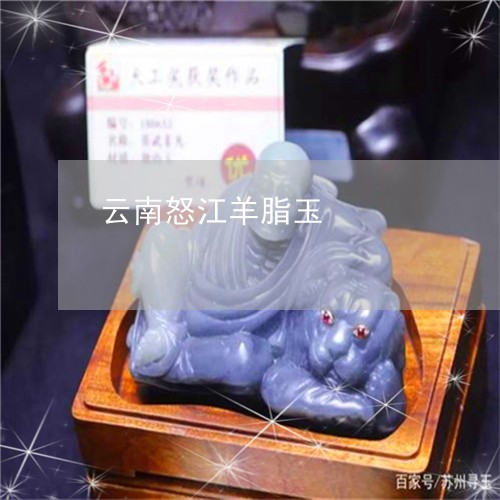 云南怒江羊脂玉/2023040554916 云南怒江羊脂玉/2023040554916