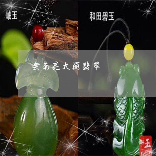 云南昆大丽翡翠/2023040571793 云南昆大丽翡翠/2023040571793