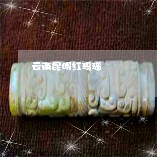 云南昆明红玛瑙/2023040506815 云南昆明红玛瑙/2023040506815