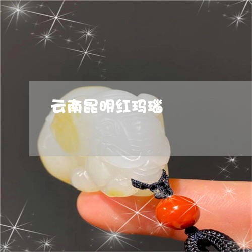 云南昆明红玛瑙/2023040558261 云南昆明红玛瑙/2023040558261