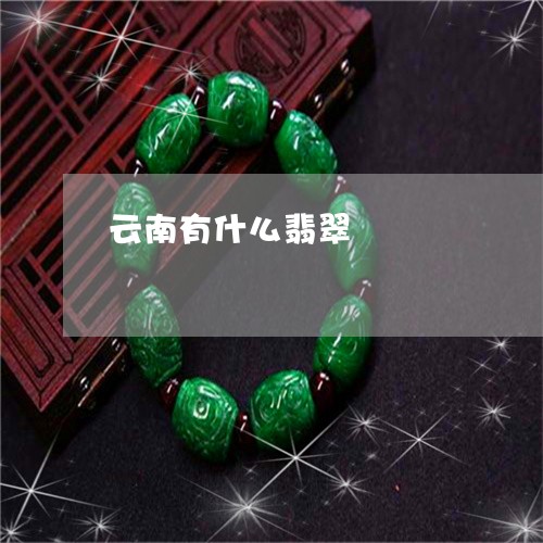 云南有什么翡翠/2023040574934 云南有什么翡翠/2023040574934