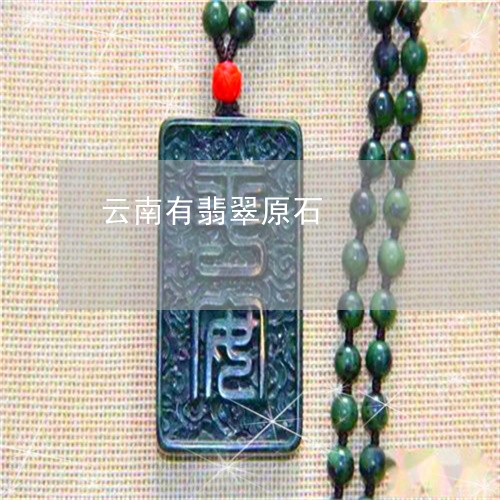 云南有翡翠原石/2023040575140 云南有翡翠原石/2023040575140