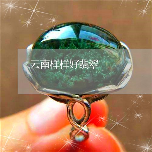 云南样样好翡翠/2023040573704 云南样样好翡翠/2023040573704