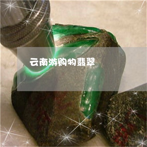 云南游购物翡翠/2023040574634