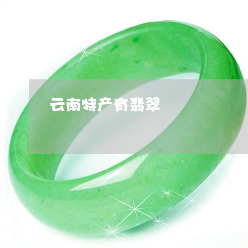 云南特产有翡翠/2023040541704