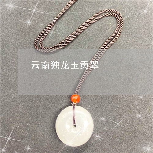 云南独龙玉贡翠/2023040553826 云南独龙玉贡翠/2023040553826