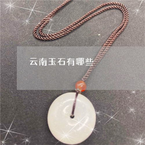 云南玉石有哪些/2023040571583 云南玉石有哪些/2023040571583