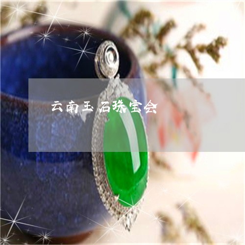 云南玉石珠宝会/2023040593926 云南玉石珠宝会/2023040593926