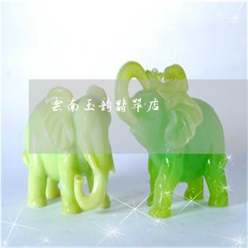 云南玉韵翡翠店/2023040596948 云南玉韵翡翠店/2023040596948