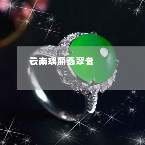 云南瑞丽翡翠专/2023040541603 云南瑞丽翡翠专/2023040541603
