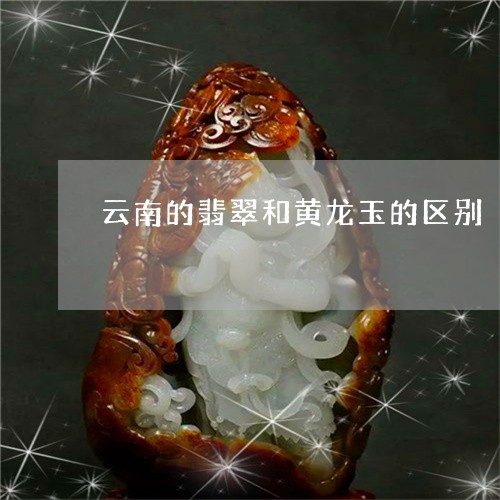 云南的翡翠和黄龙玉的区别/2023062806257