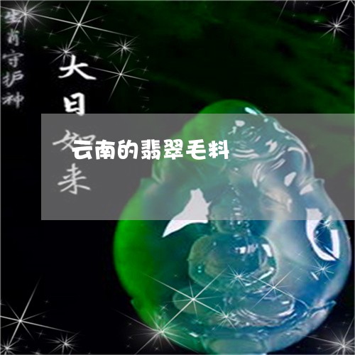 云南的翡翠毛料/2023040541480