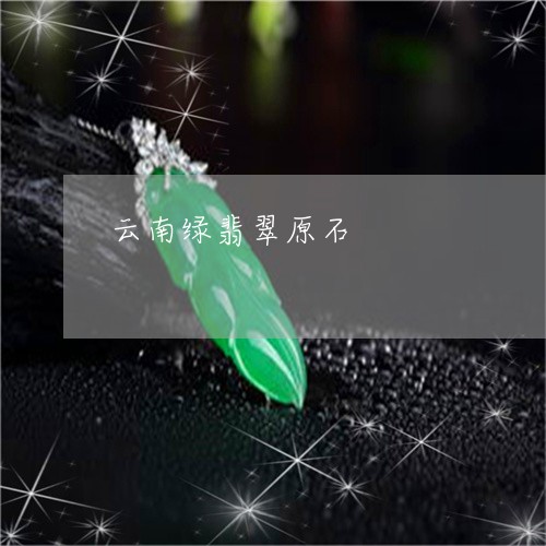 云南绿翡翠原石/2023040516067