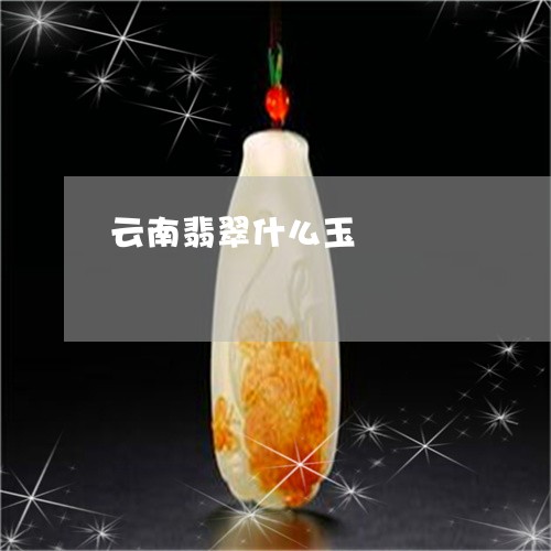 云南翡翠什么玉/2023040553716