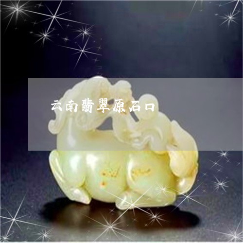 云南翡翠原石口/2023040573725 云南翡翠原石口/2023040573725