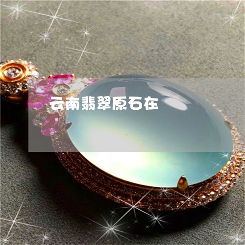 云南翡翠原石在/2023040585869 云南翡翠原石在/2023040585869