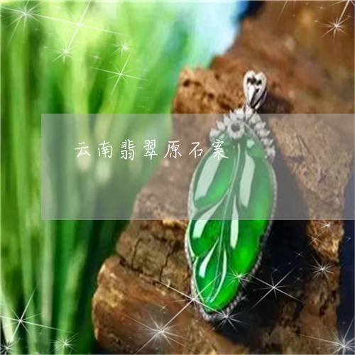 云南翡翠原石案/2023040548471