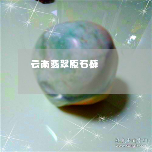 云南翡翠原石藓/2023040512827