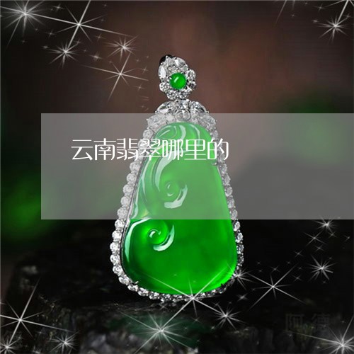云南翡翠哪里的/2023040564825 云南翡翠哪里的/2023040564825