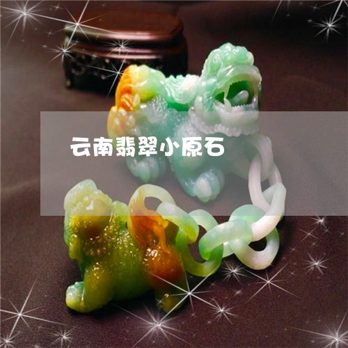 云南翡翠小原石/2023040532636 云南翡翠小原石/2023040532636