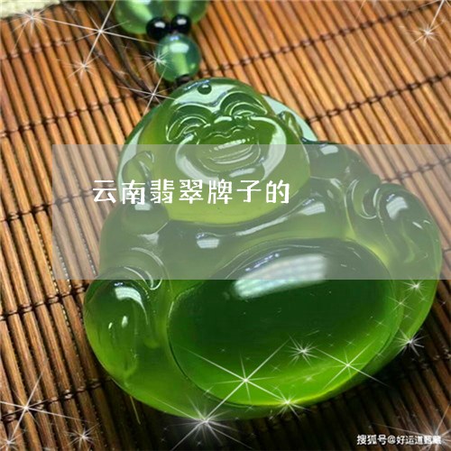 云南翡翠牌子的/2023040577060
