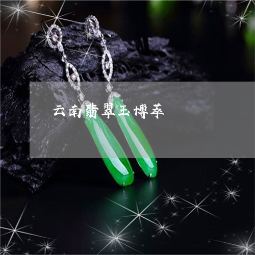 云南翡翠玉博萃/2023040552612