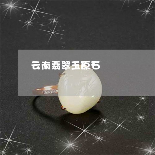 云南翡翠玉原石/2023040572726