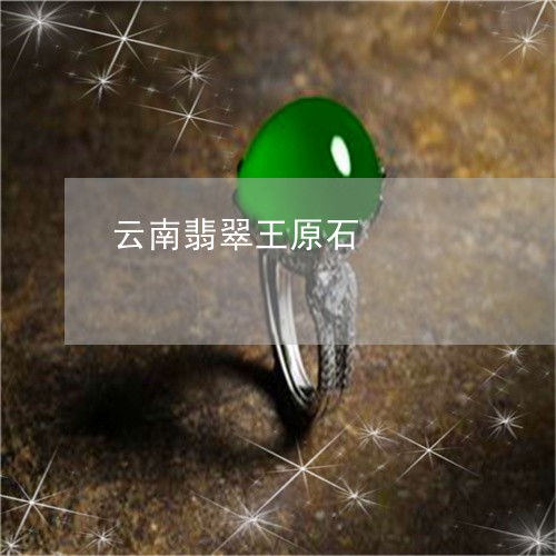 云南翡翠王原石/2023040559203