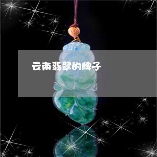 云南翡翠的牌子/2023040525859 云南翡翠的牌子/2023040525859