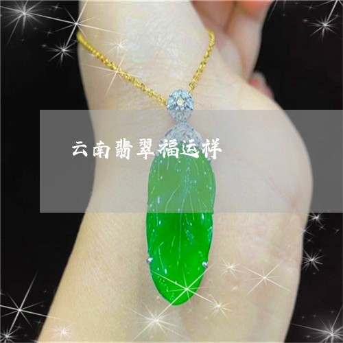 云南翡翠福运祥/2023040564948 云南翡翠福运祥/2023040564948