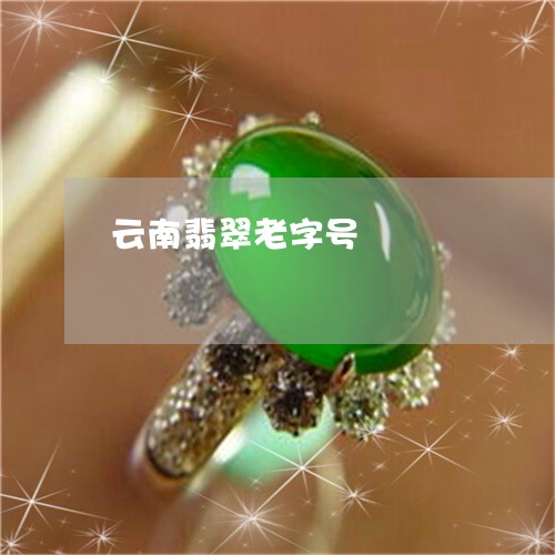 云南翡翠老字号/2023040551683 云南翡翠老字号/2023040551683