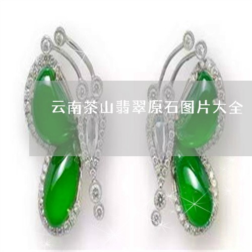 云南茶山翡翠原石图片大全/2023061993169 云南茶山翡翠原石图片大全/2023061993169