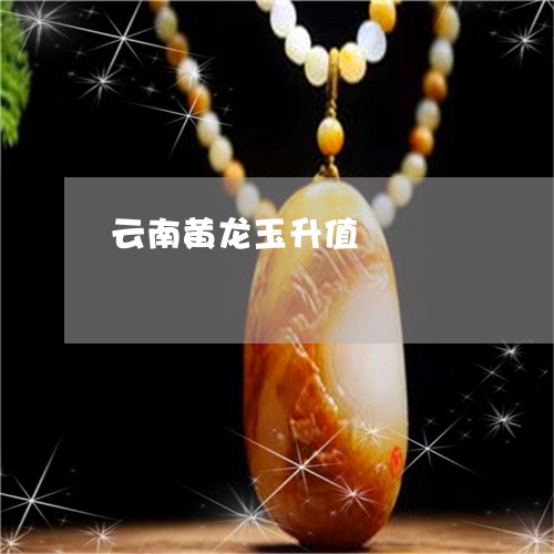 云南黄龙玉升值/2023040513946