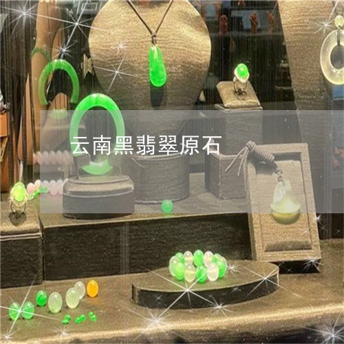云南黑翡翠原石/2023040565169