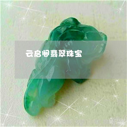 云启阁翡翠珠宝/2023040549340