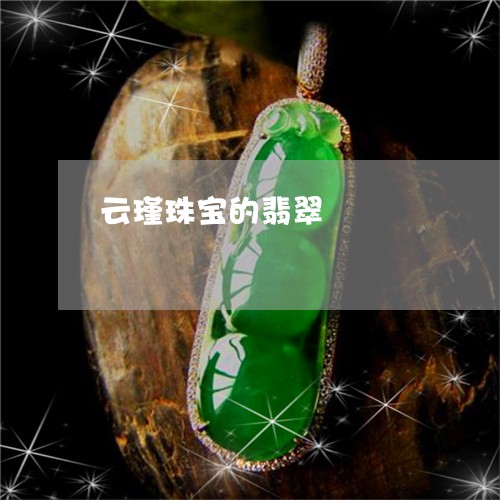 云瑾珠宝的翡翠/2023040546261 云瑾珠宝的翡翠/2023040546261