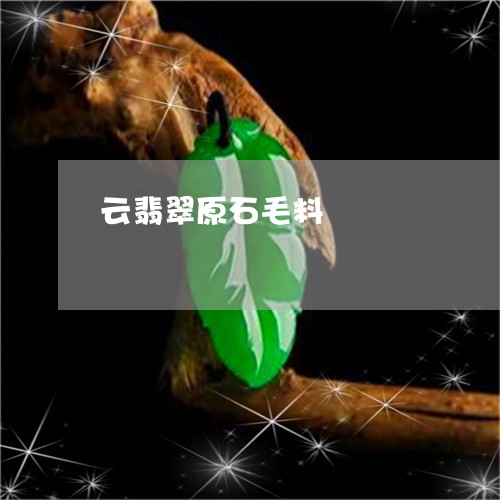 云翡翠原石毛料/2023040539314