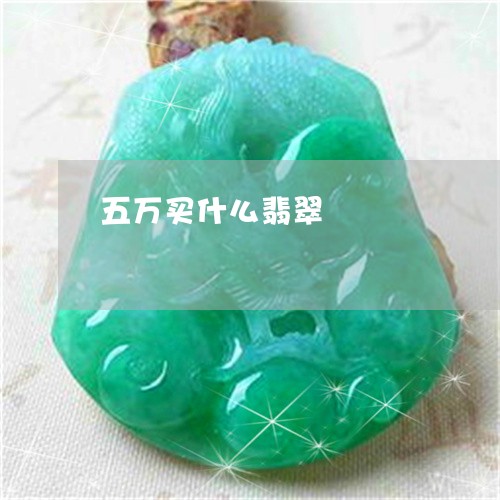 五万买什么翡翠/2023040565038
