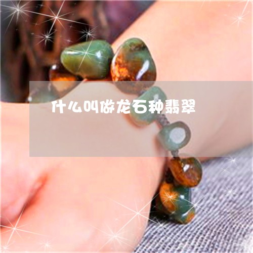 什么叫做龙石种翡翠/2023042564039