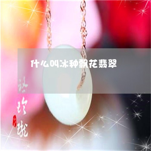 什么叫冰种飘花翡翠/2023042545137