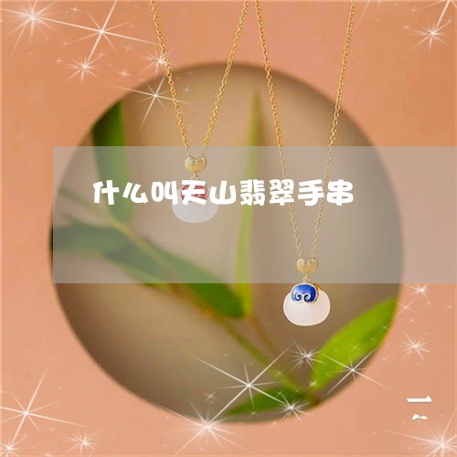 什么叫天山翡翠手串/2023042506836