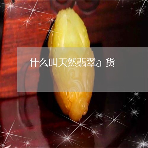 什么叫天然翡翠a货/2023042506746
